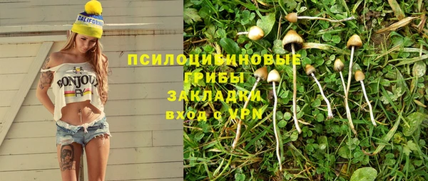 индика Армянск