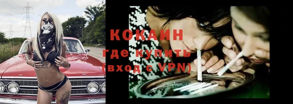 индика Армянск
