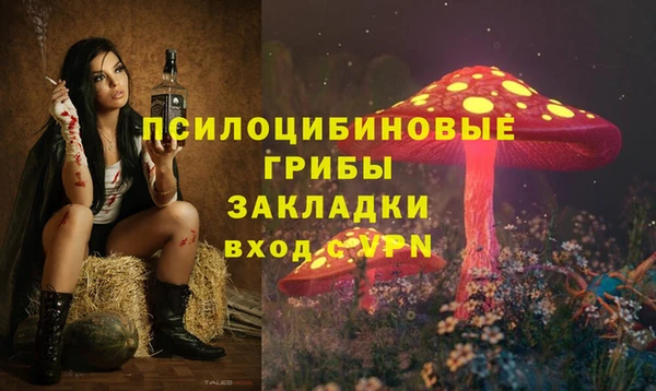 Альфа ПВП Арсеньев