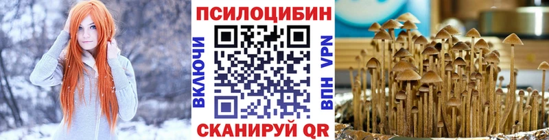 omg маркетплейс  Бобров  Псилоцибиновые грибы GOLDEN TEACHER 